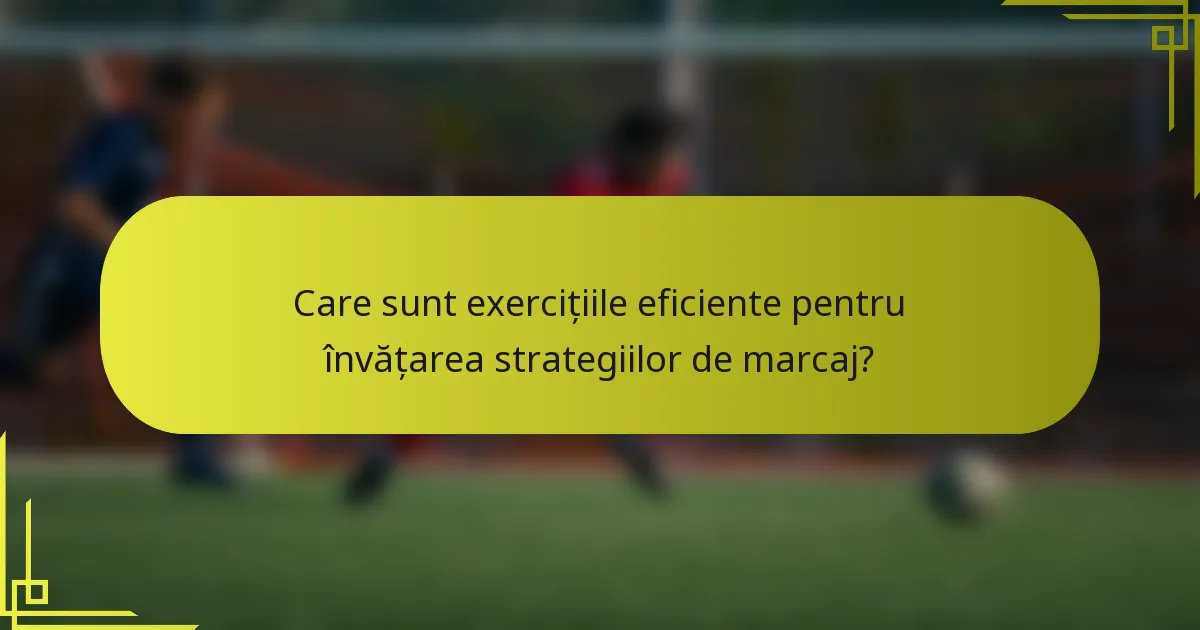 Care sunt exercițiile eficiente pentru învățarea strategiilor de marcaj?